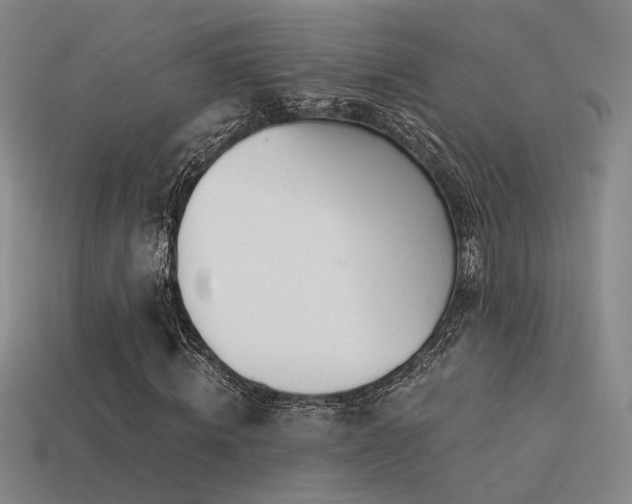X0000113530820200909181133