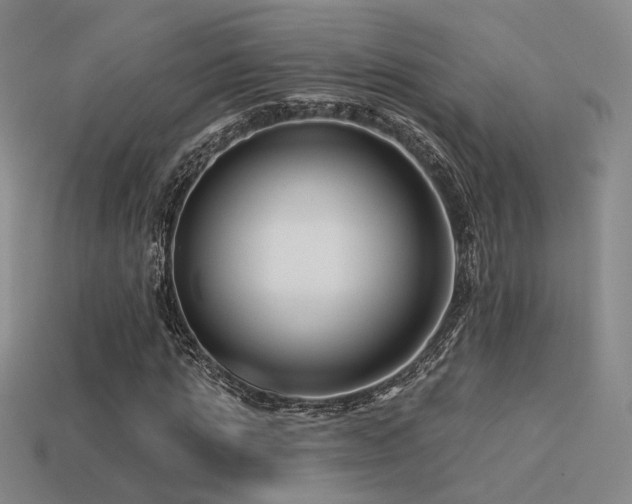 X0000113530821200909181133