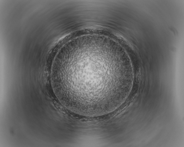 X0000113530822200909181133