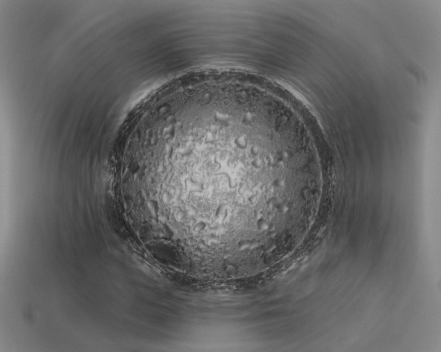 X0000113530823200909181133