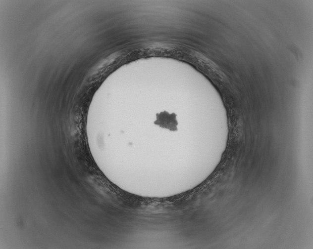 X0000113530824200909181133
