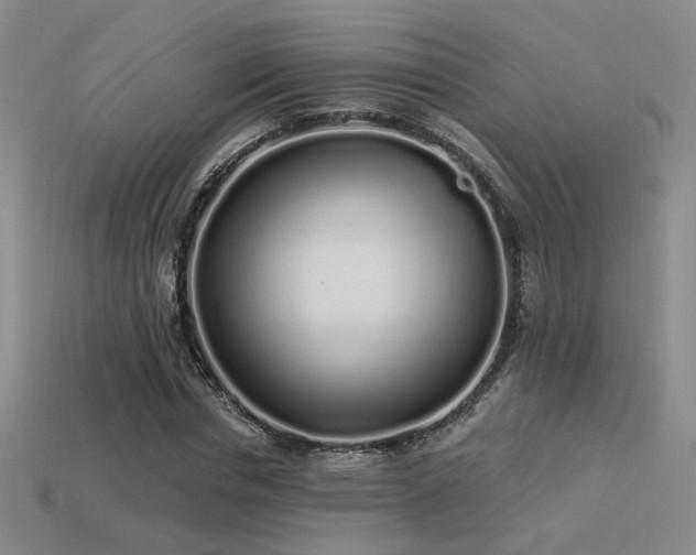 X0000113530826200909181133
