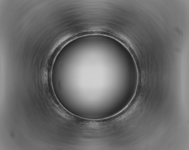 X0000113530827200909181133