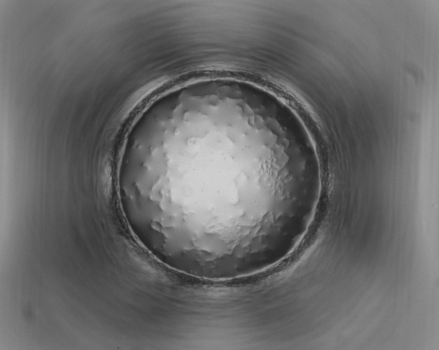 X0000113530829200909181133