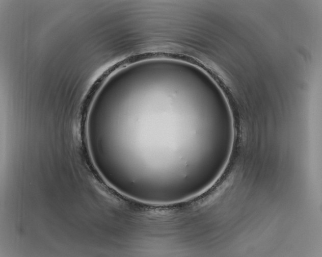 X0000113530830200909181133