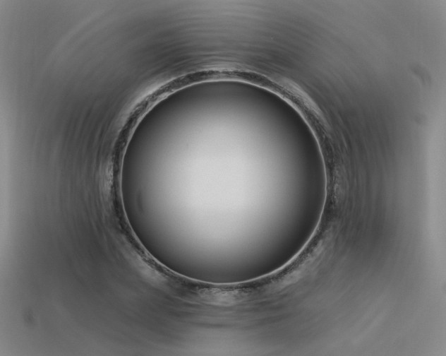 X0000113530831200909181133