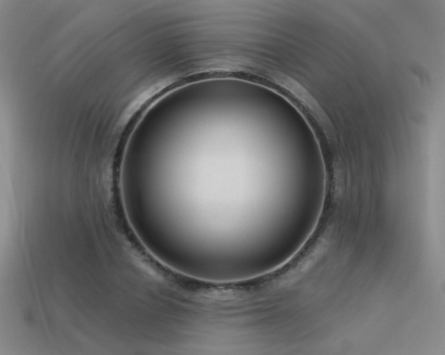 X0000113530834200909181133