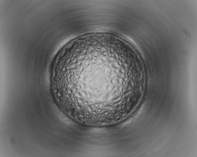 X0000113530835200909181133