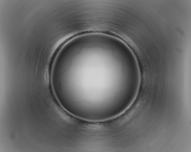 X0000113530838200909181133