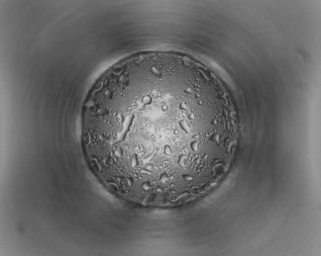 X0000113530839200909181133