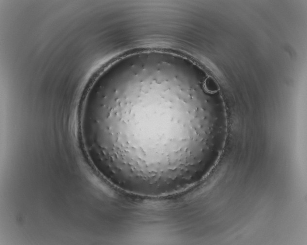 X0000113530840200909181133