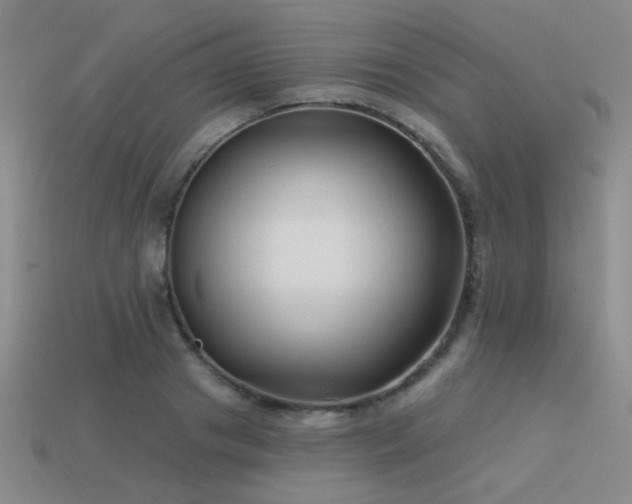 X0000113530841200909181133