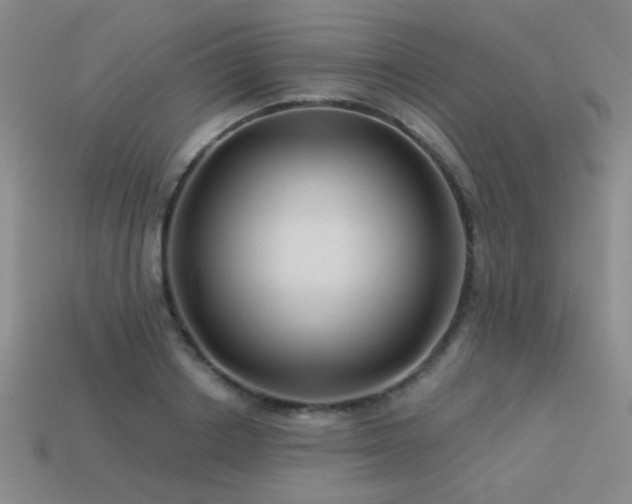 X0000113530842200909181133
