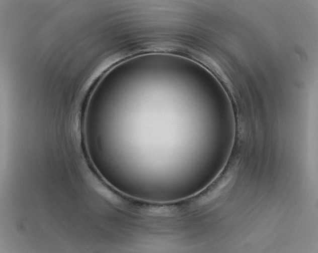 X0000113530843200909181133