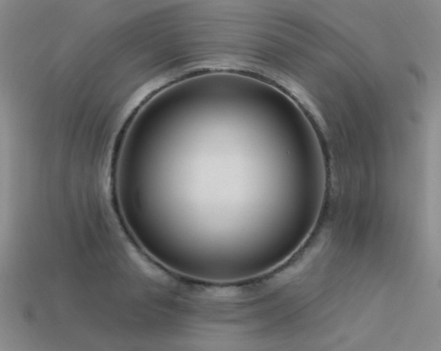 X0000113530845200909181133