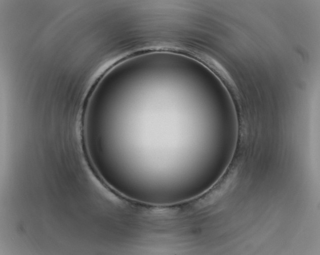 X0000113530847200909181133