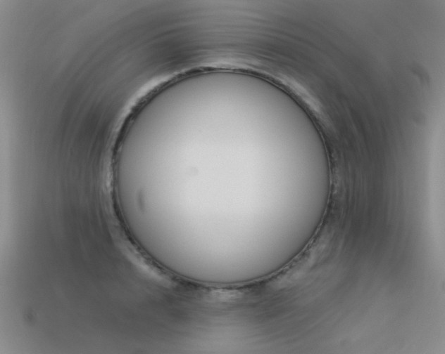 X0000113530848200909181133