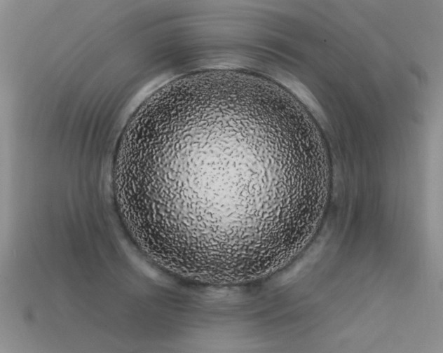 X0000113530850200909181133