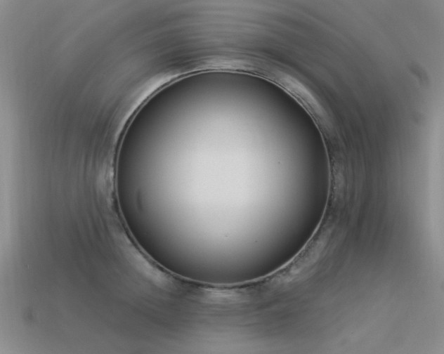 X0000113530852200909181133
