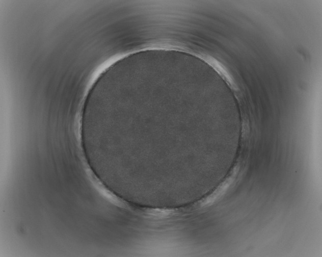 X0000113530854200909181133