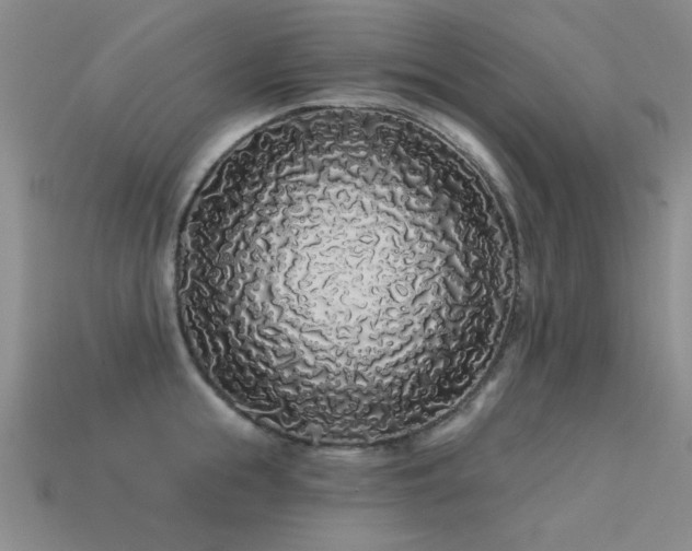 X0000113530855200909181133