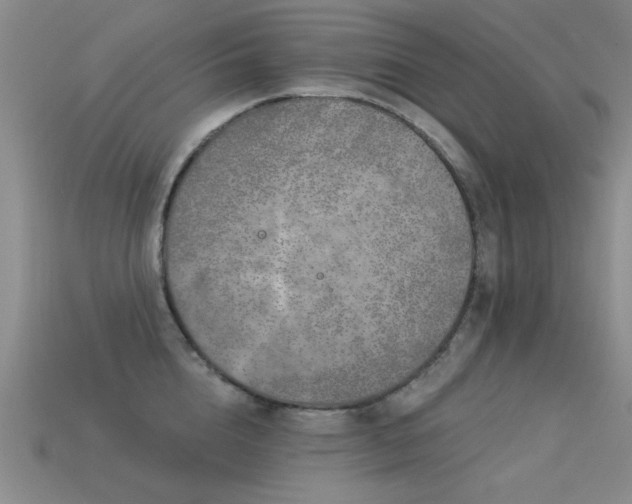 X0000113530856200909181133