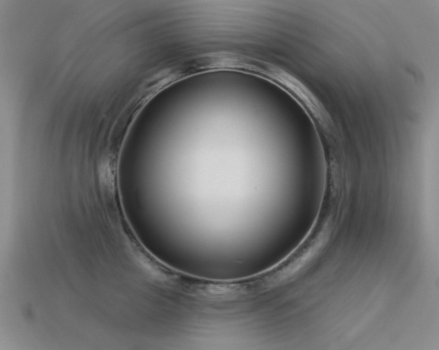 X0000113530857200909181133
