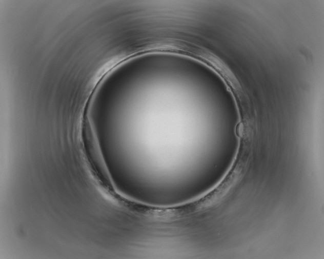 X0000113530858200909181133