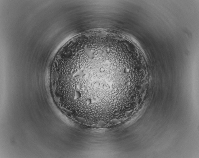 X0000113530859200909181133