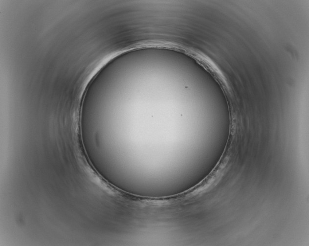 X0000113530860200909181133