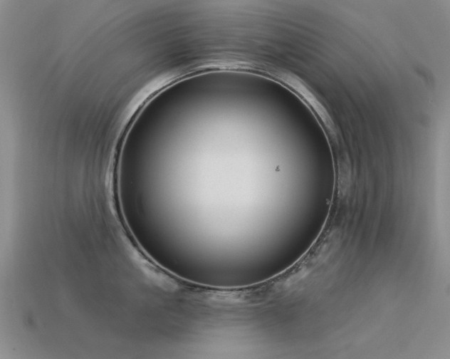 X0000113530861200909181133