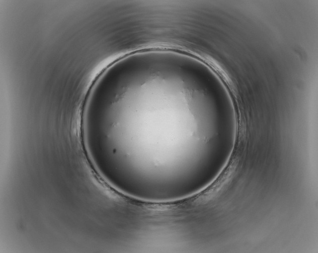 X0000113530862200909181133