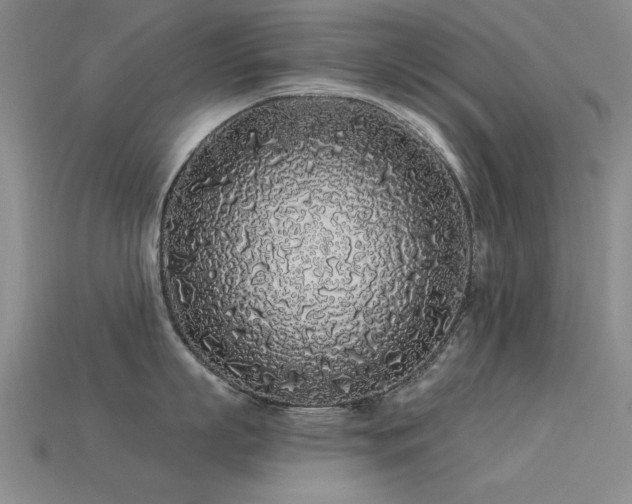 X0000113530863200909181133