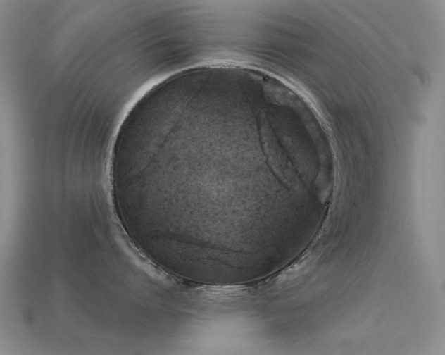 X0000113530864200909181133