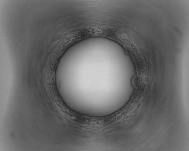 X0000113530865200909181133