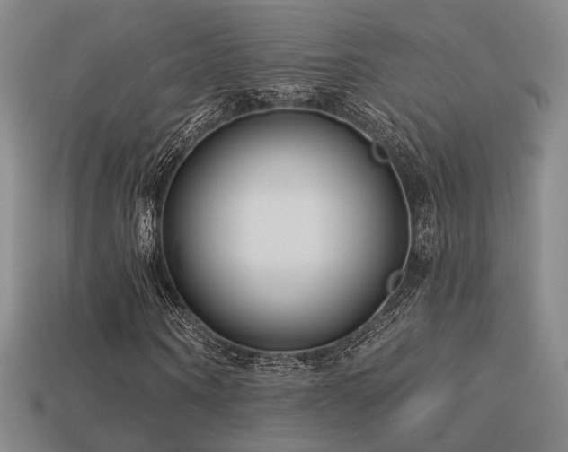 X0000113530866200909181133