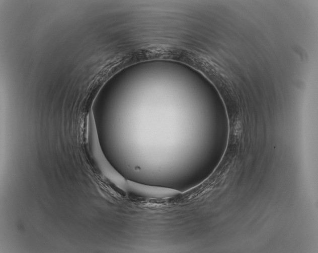 X0000113530868200909181133