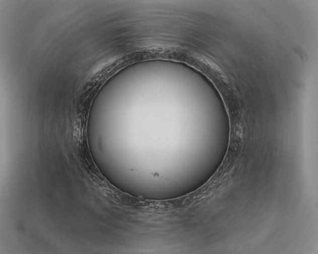 X0000113530869200909181133