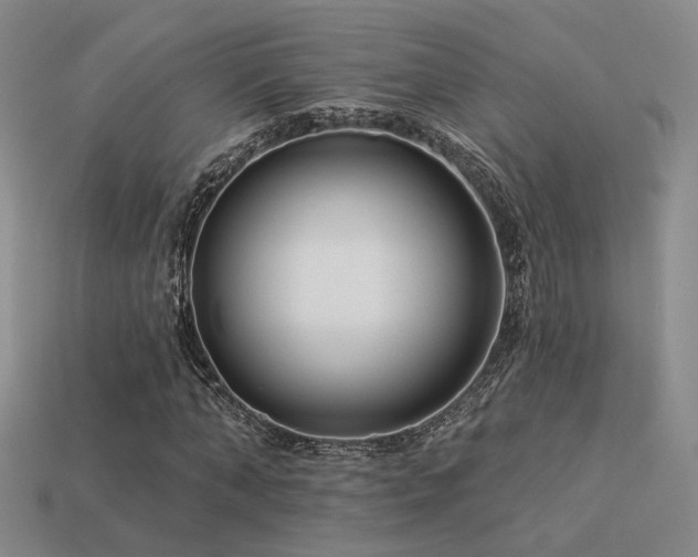 X0000113530870200909181133