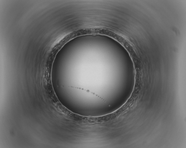 X0000113530871200909181133