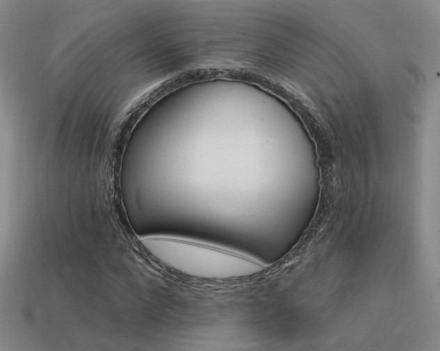 X0000113530872200909181133