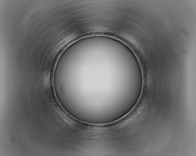X0000113530873200909181133