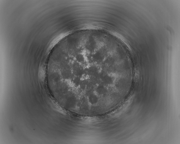 X0000113530874200909181133
