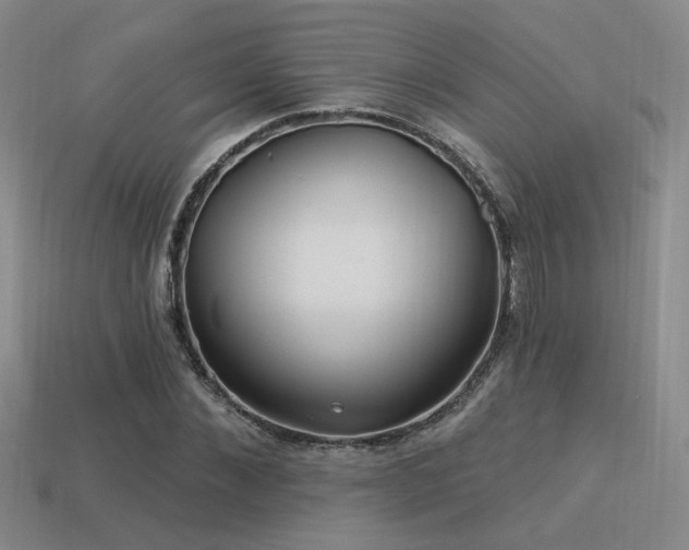 X0000113530876200909181133