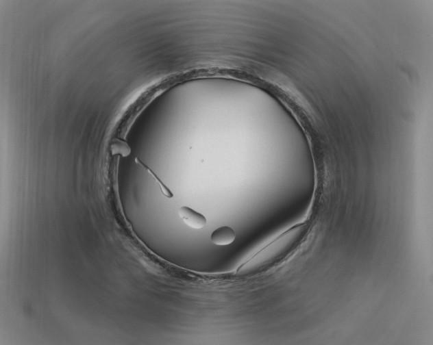 X0000113530878200909181133