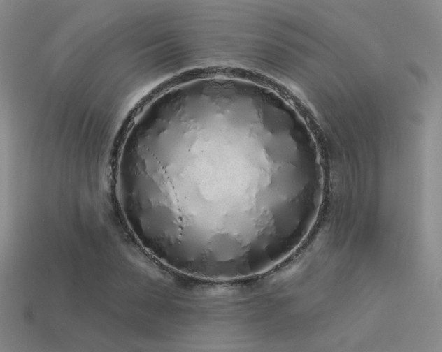 X0000113530879200909181133