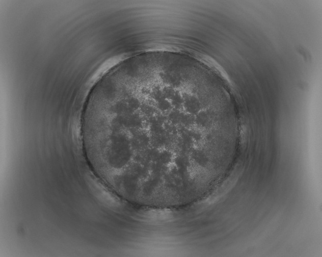 X0000113530882200909181133