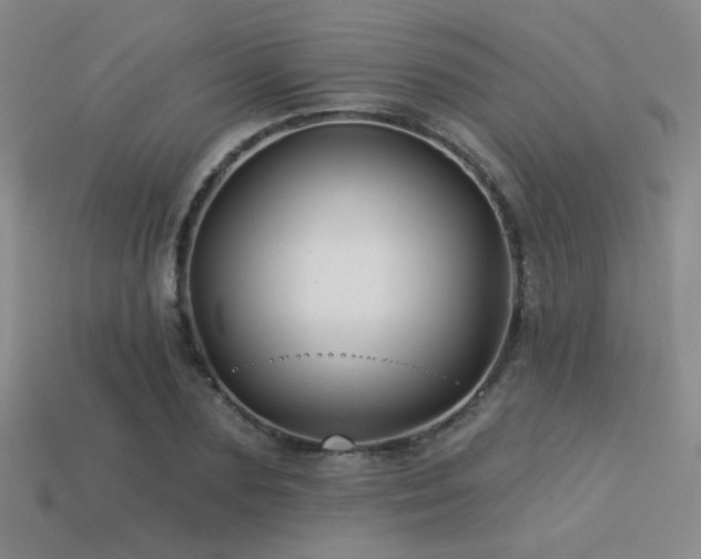 X0000113530883200909181133