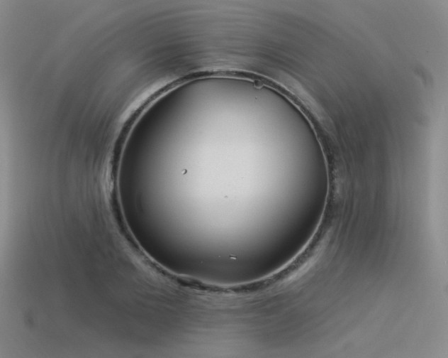 X0000113530885200909181132