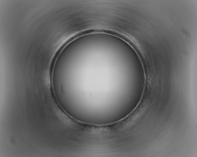 X0000113530887200909181132